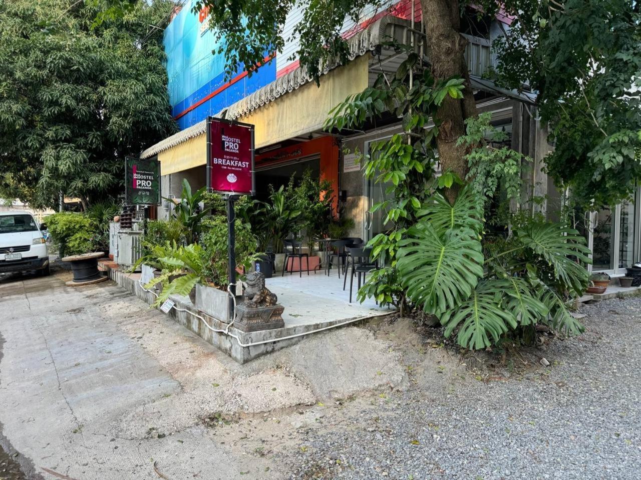 Propaganda Hostel パンガン島 エクステリア 写真